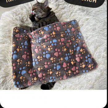 Плед-лежанка подстилка для собак и кошек Плед-лежанка подстилка для собак и кошек